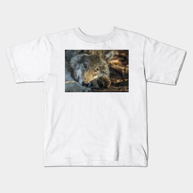 Timber Wolf Kids T-Shirt by jaydee1400